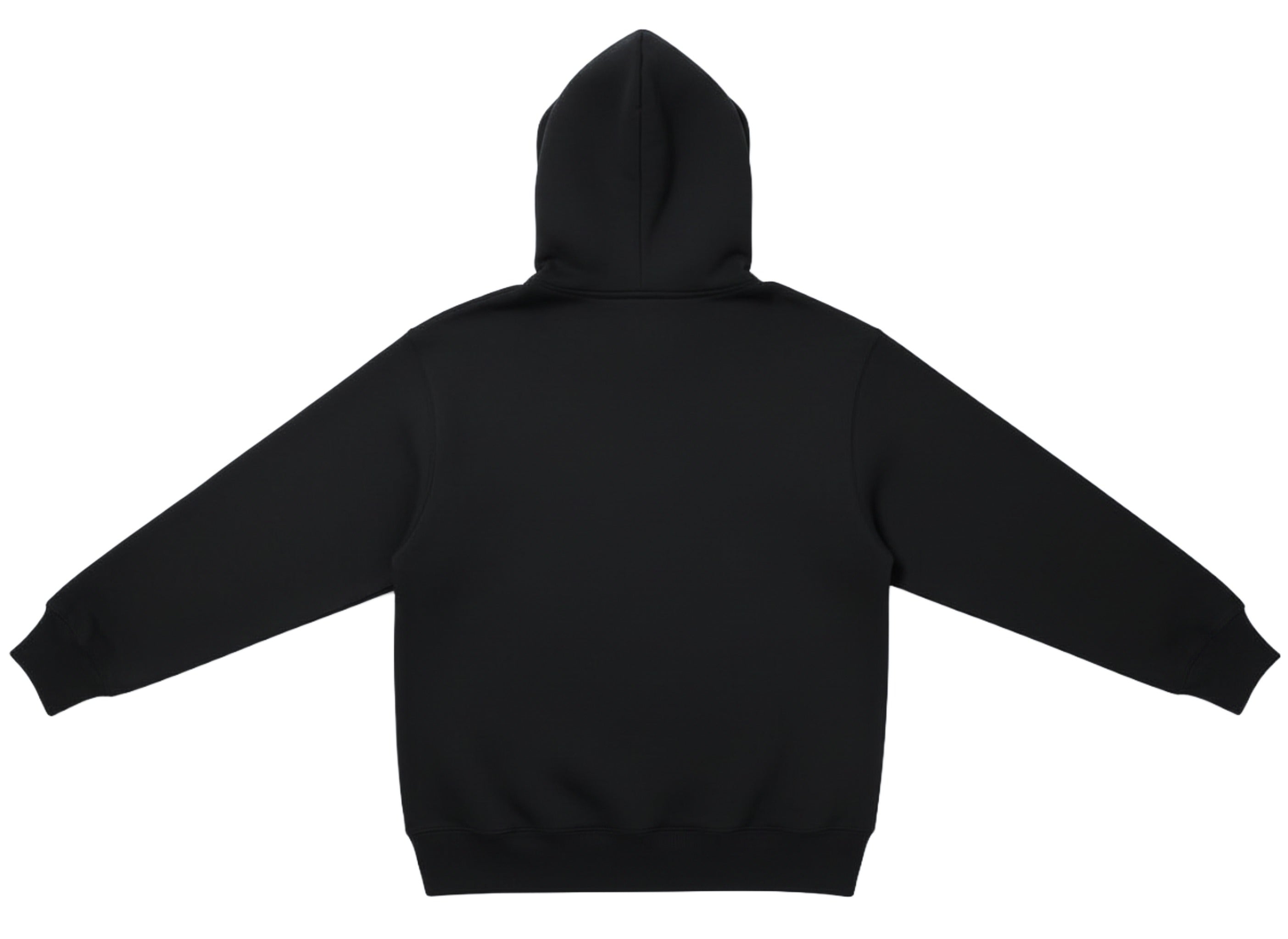 Black hoodie shown from the back on a white background