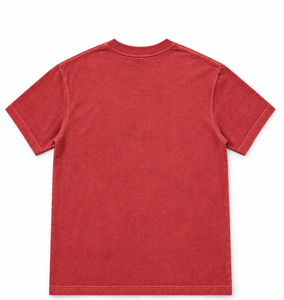 Washed Crewneck T-Shirt — Red — back view