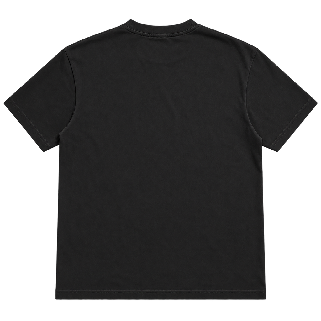 Back view of black True Authentic heavyweight cotton T-shirt