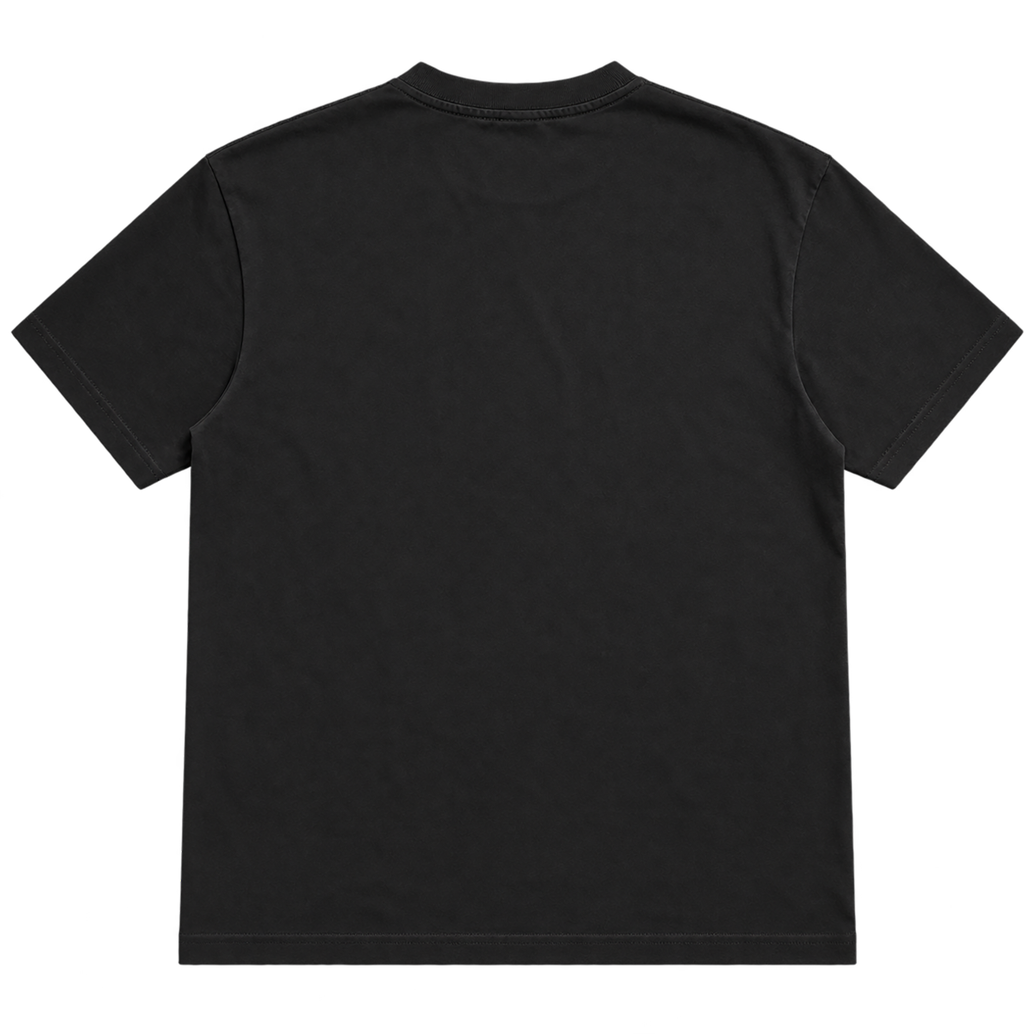 Back view of black True Authentic heavyweight cotton T-shirt
